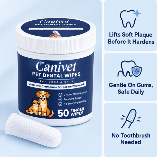 Finger Dental Wipes for Dogs