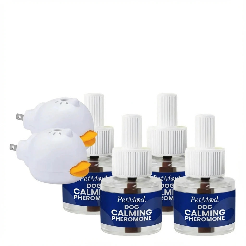 Dog Calming Diffuser Kit