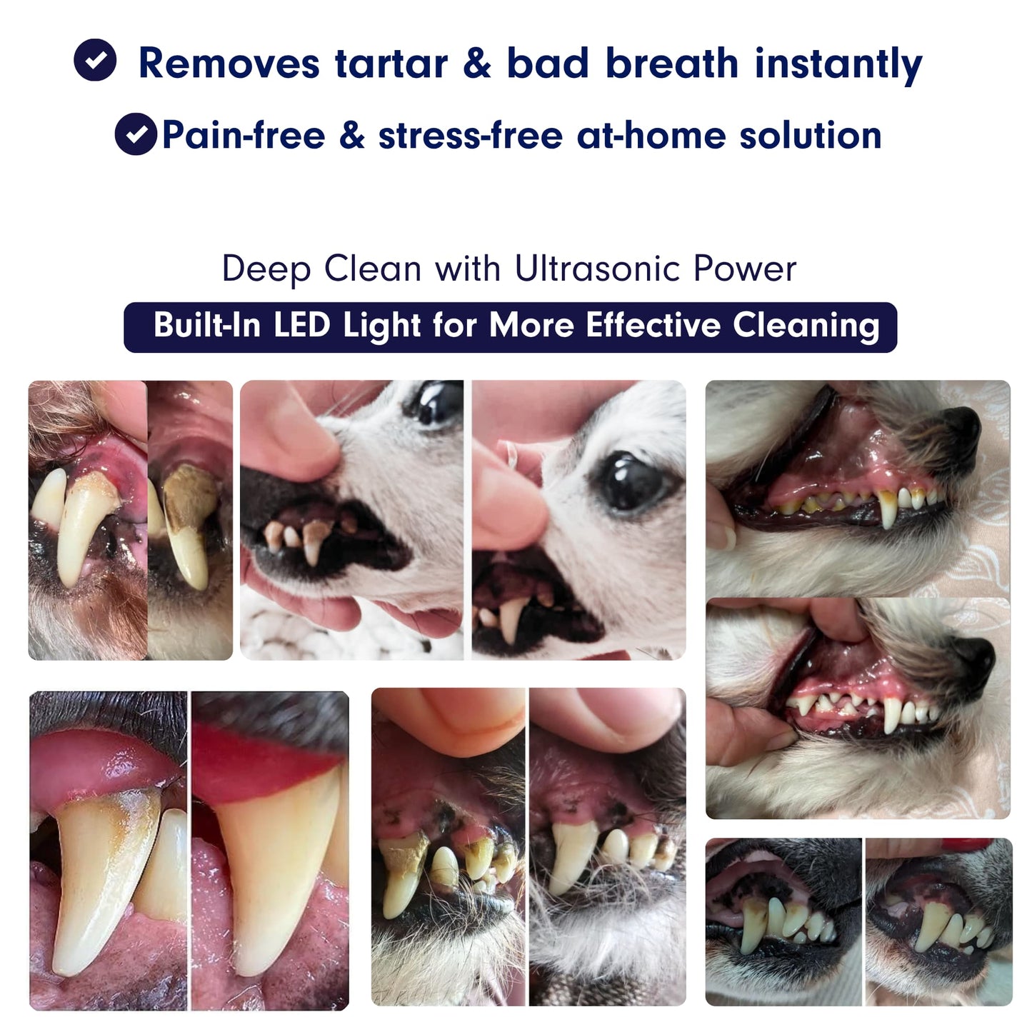 Canivet Kit - Silent Ultrasonic Plaque & Tartar Remover for dogs