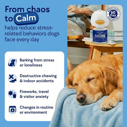 Dog Calming Diffuser Kit