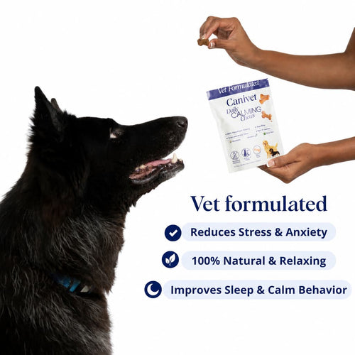 Natural Calming Treats for Dogs - Daily Anxiety & Stress Relief