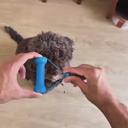 Dog Mouth Opener for Easier Dental Cleaning